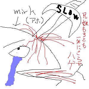 IMG_000482.jpg ( 45 KB ) with Shi-cyan applet